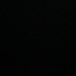 Meet your Posher, Lily